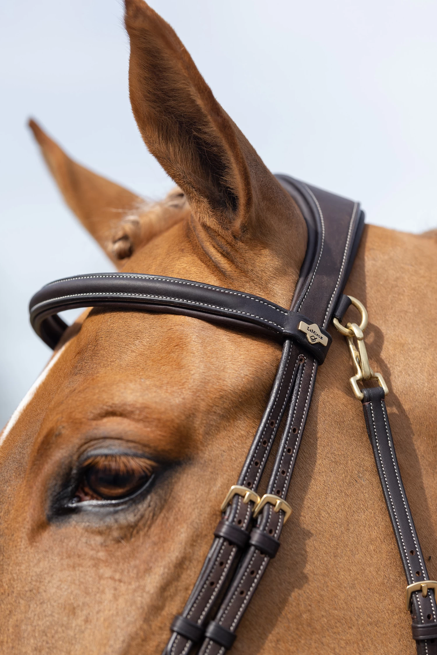 LeMieux Work Bridle - Image 5