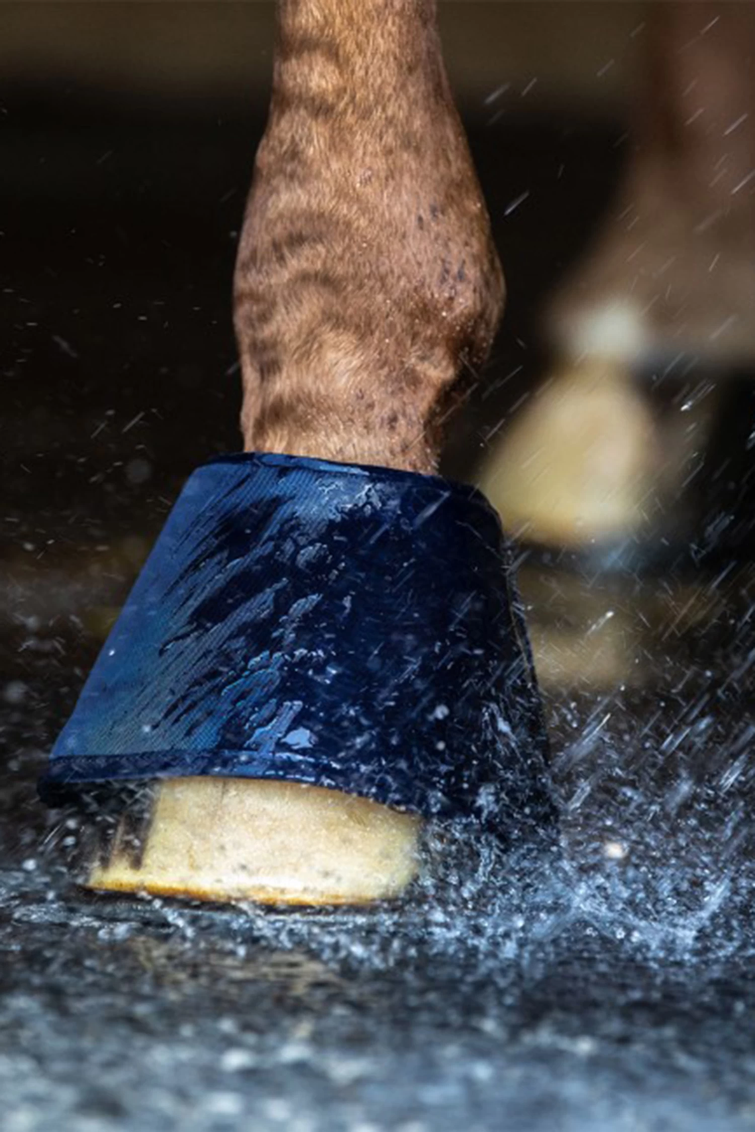 Waldhausen Water Boot, Pair - Image 4