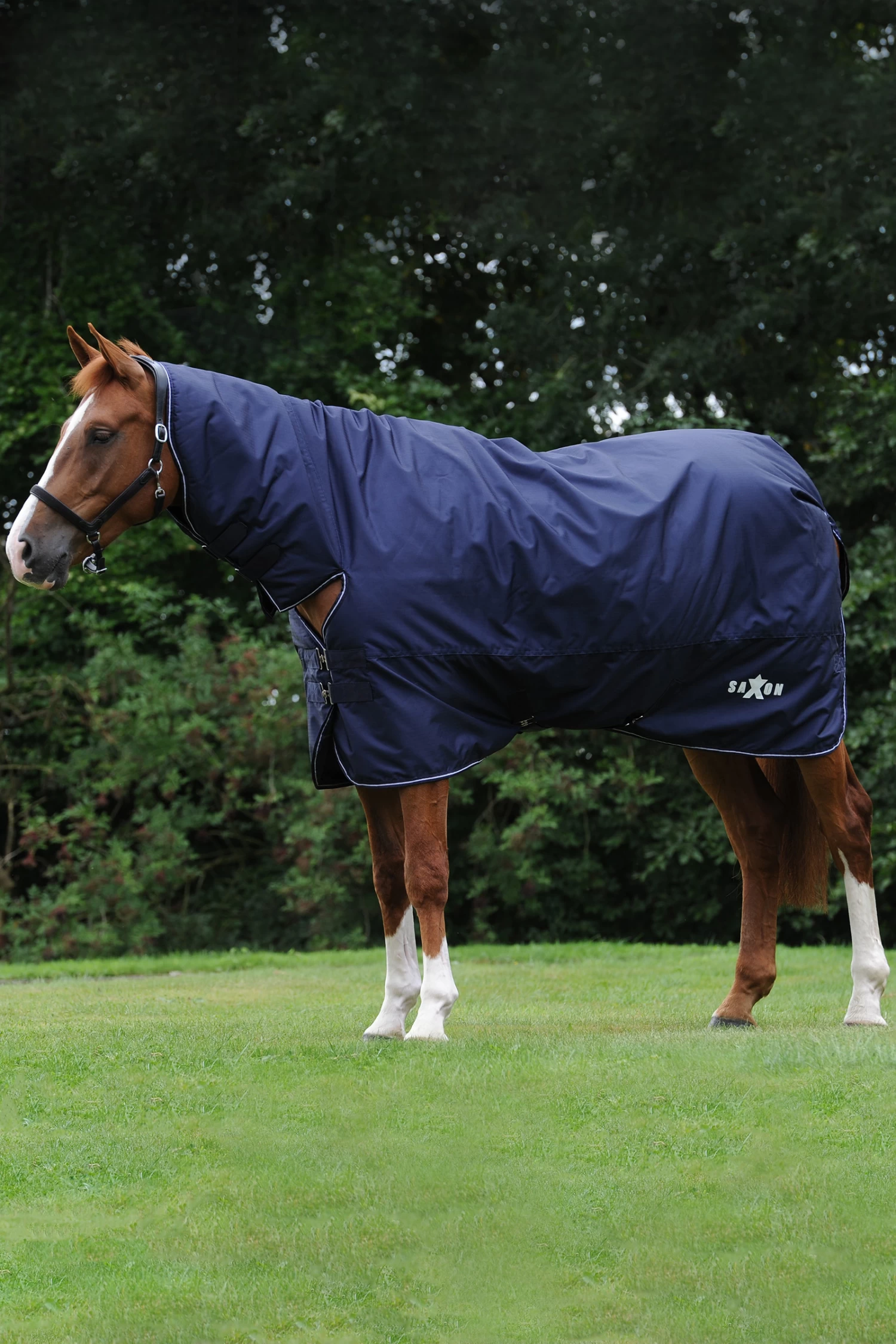 Saxon Defiant 600D Combo Neck Medium Turnout Rug, 200g - Image 2