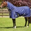 Weatherbeeta Comfitec Essential Detach-a-Neck Medium Turnout Rug, 220g