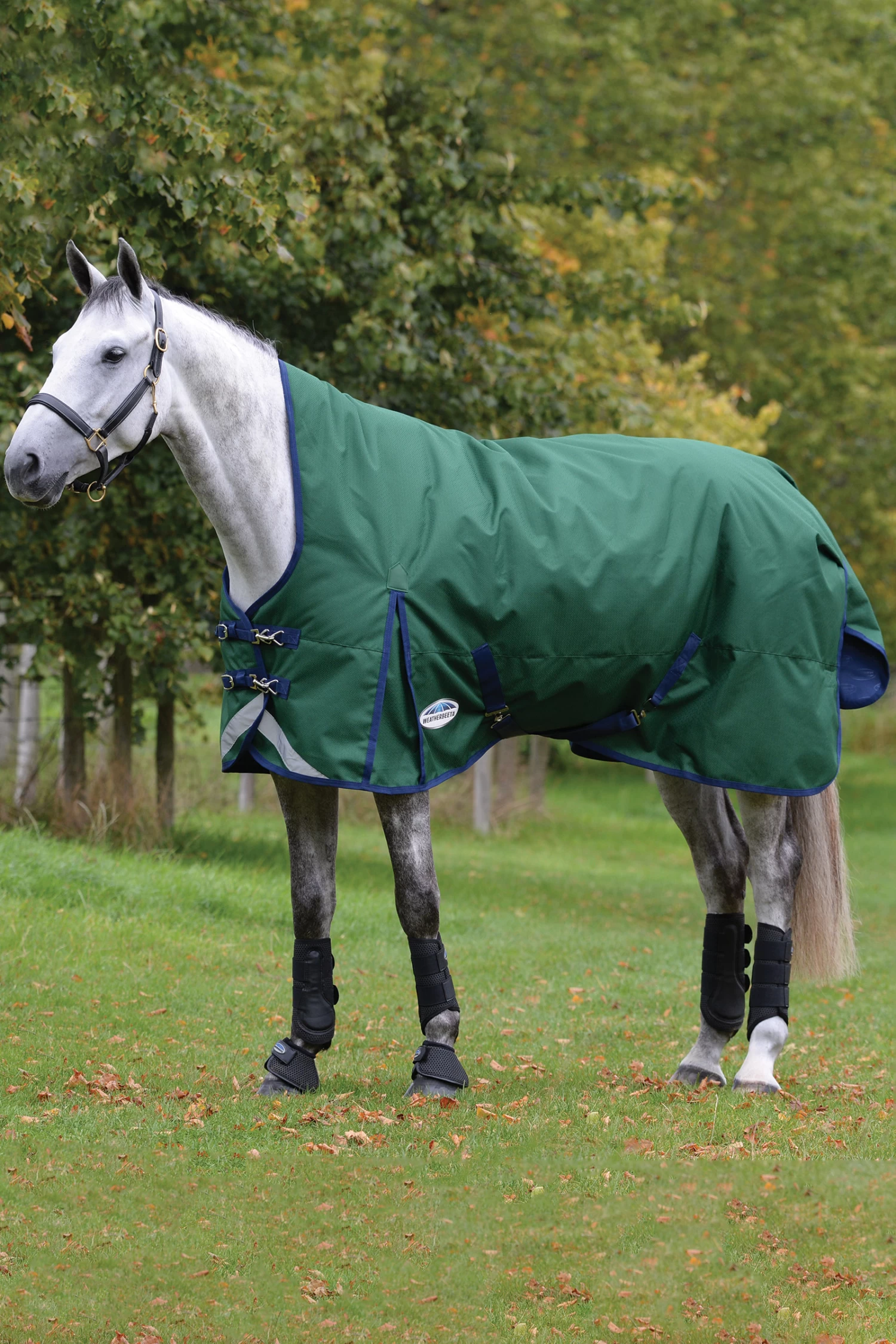 Weatherbeeta Comfitec Plus Dynamic II High Neck Medium/Light Turnout Rug, 100g - Image 2