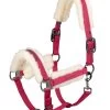 Eskadron Reflexx SS23 Glossy Evo-Wool Douple Pin Headcollar