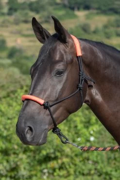 USG Knotted Rope Halter With Matching Lead Rope