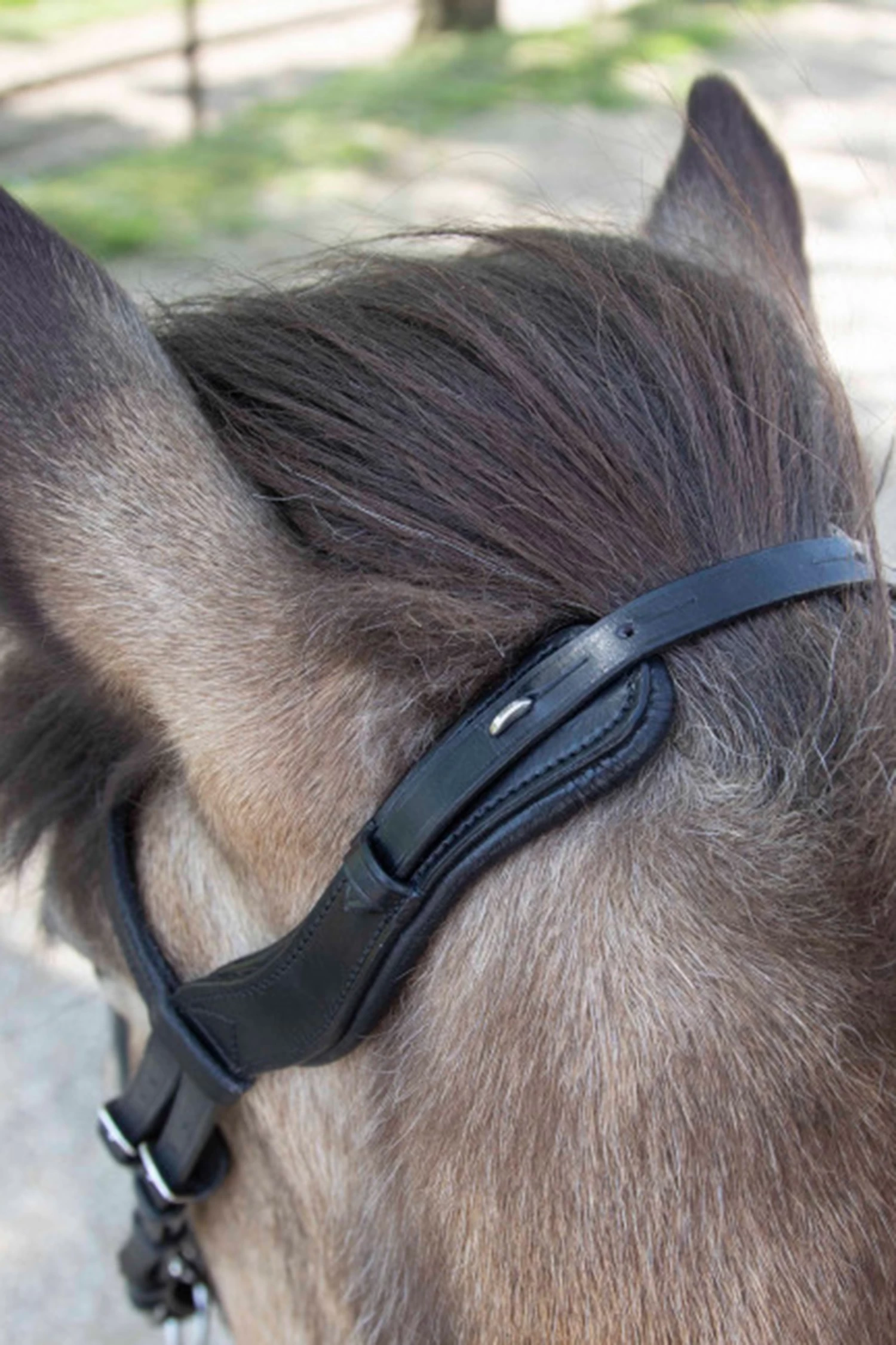 Waldhausen Anatomical Icelandic Bridle - Image 4