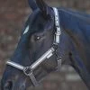 Waldhausen Reflex Stripe Halter