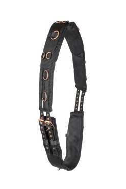 Waldhausen Rosé Lunging Surcingle