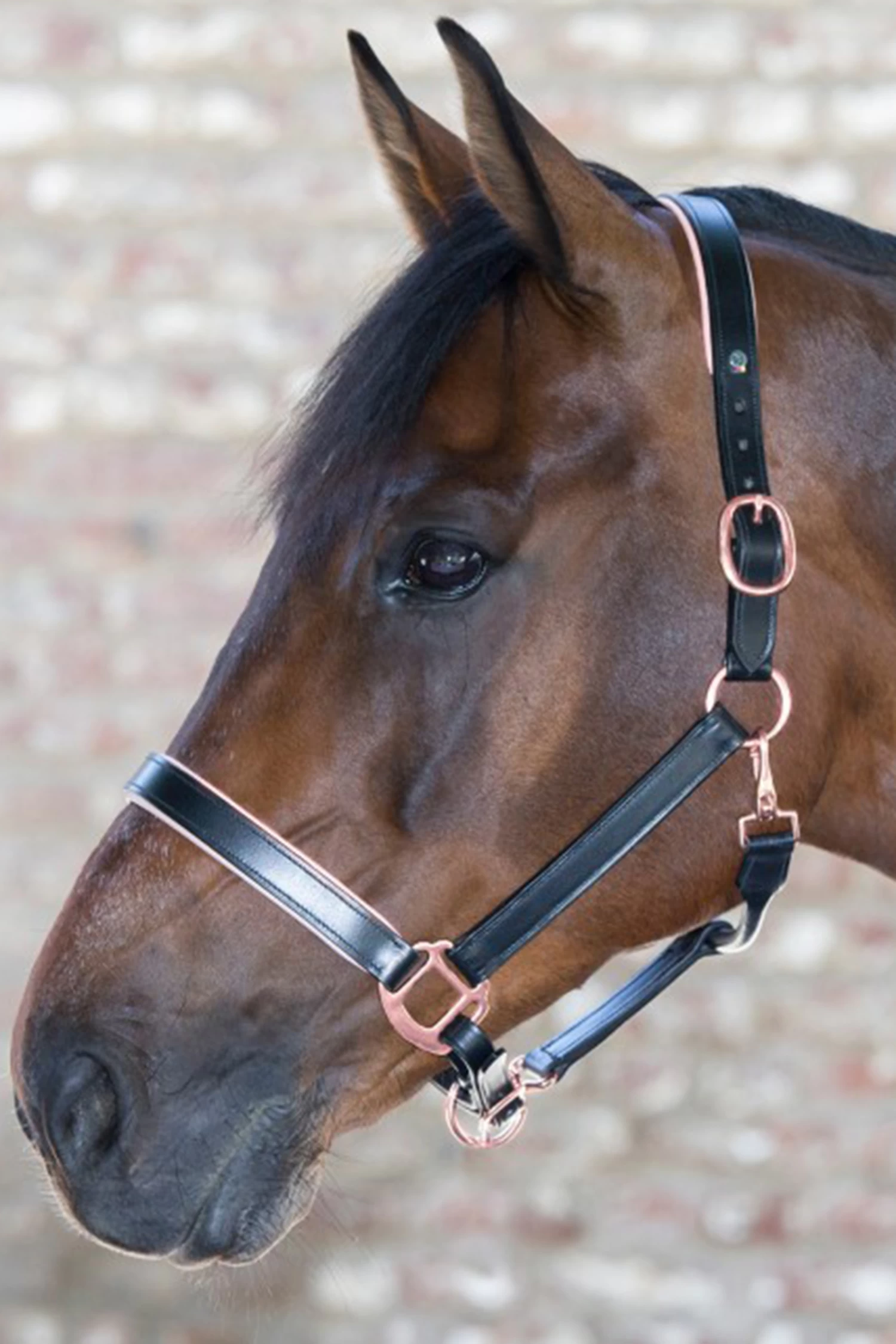 Waldhausen X-Line Leather Halter Rosé - Image 2