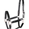 Waldhausen Star Mix Halter