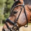 Kavalkade Ayana KavalSH4 Bridle