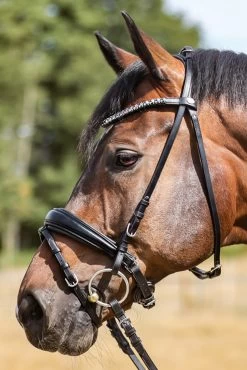 Kavalkade Ayana KavalSH4 Bridle