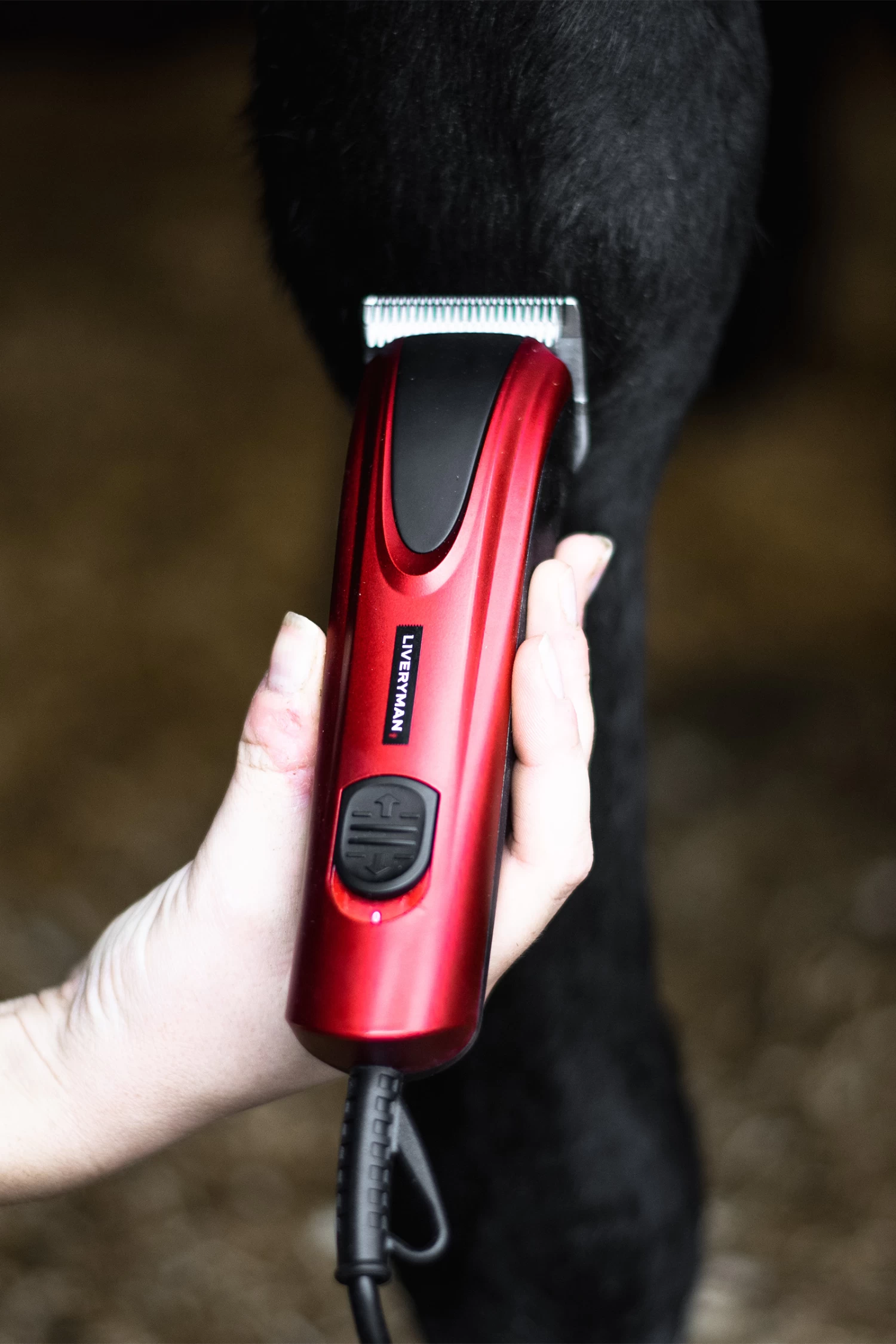 Liveryman Bruno Lightweight Equine Trimmer - Image 4