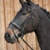 Kieffer Ergonomic Line III Bridle