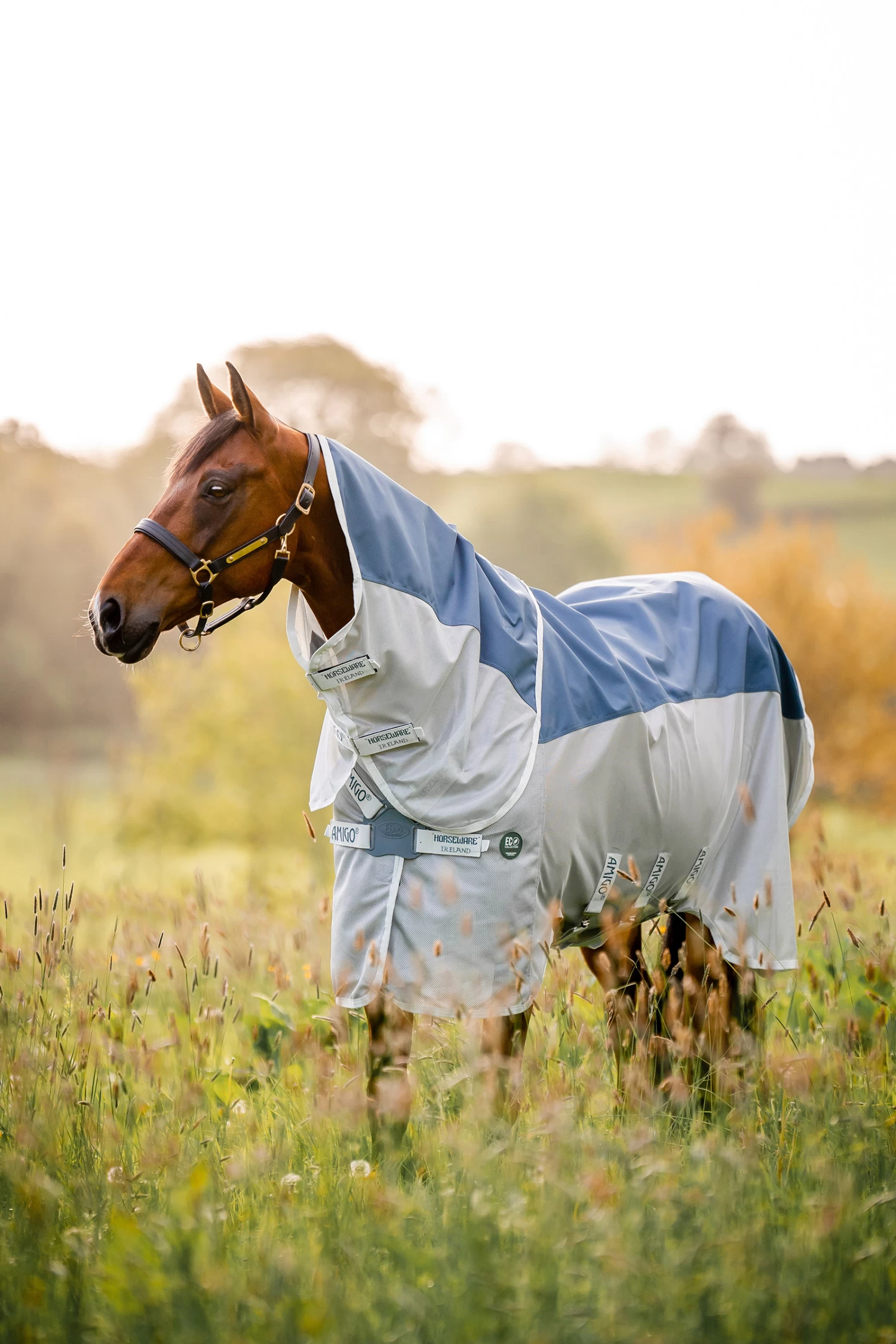 Horseware Amigo Ameco Combi Rug