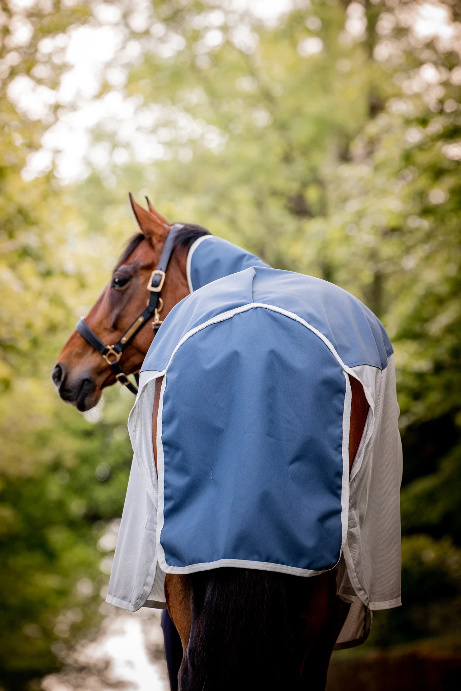 Horseware Amigo Ameco Combi Rug - Image 5