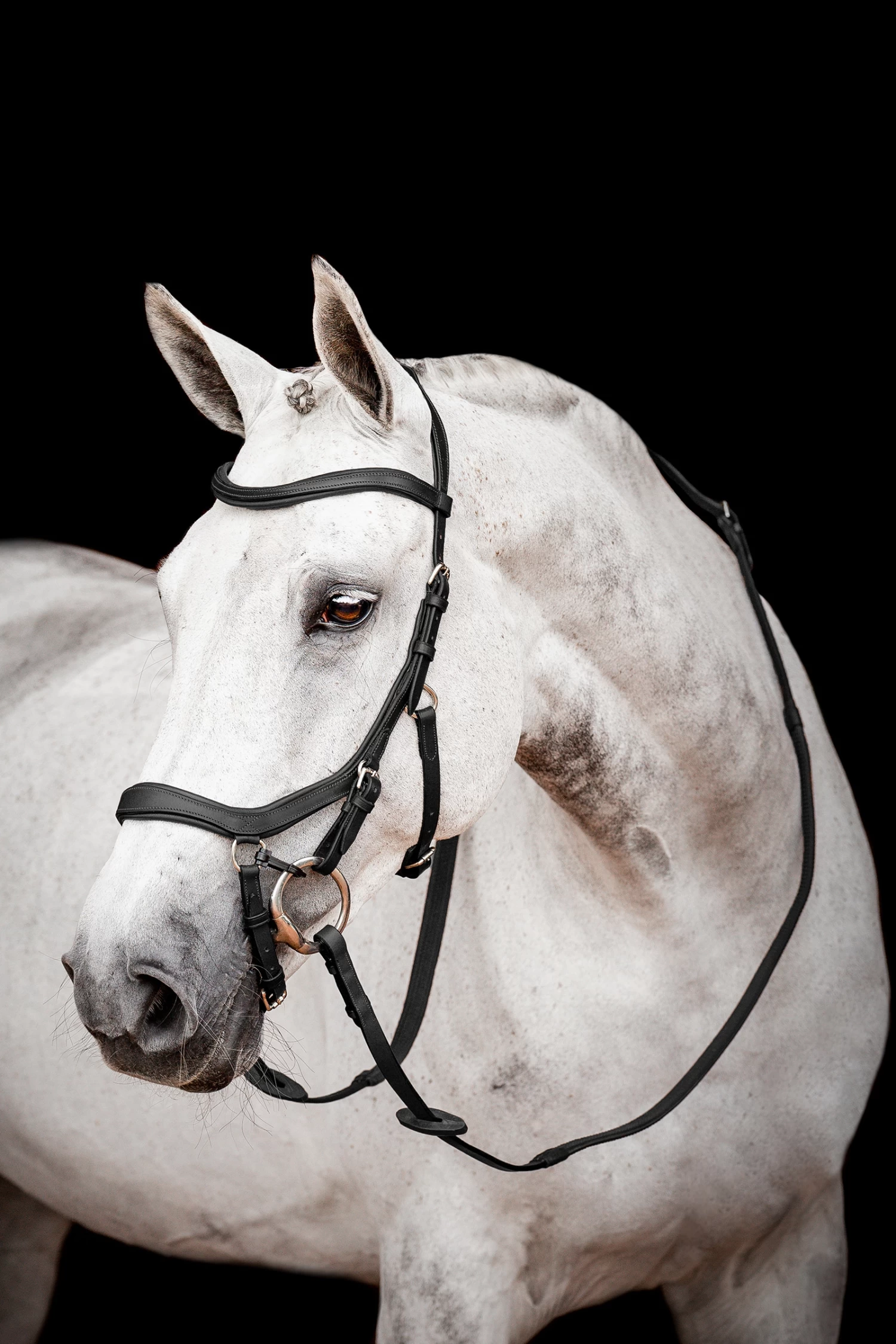 Horseware Rambo Micklem 2 Competition Bridle