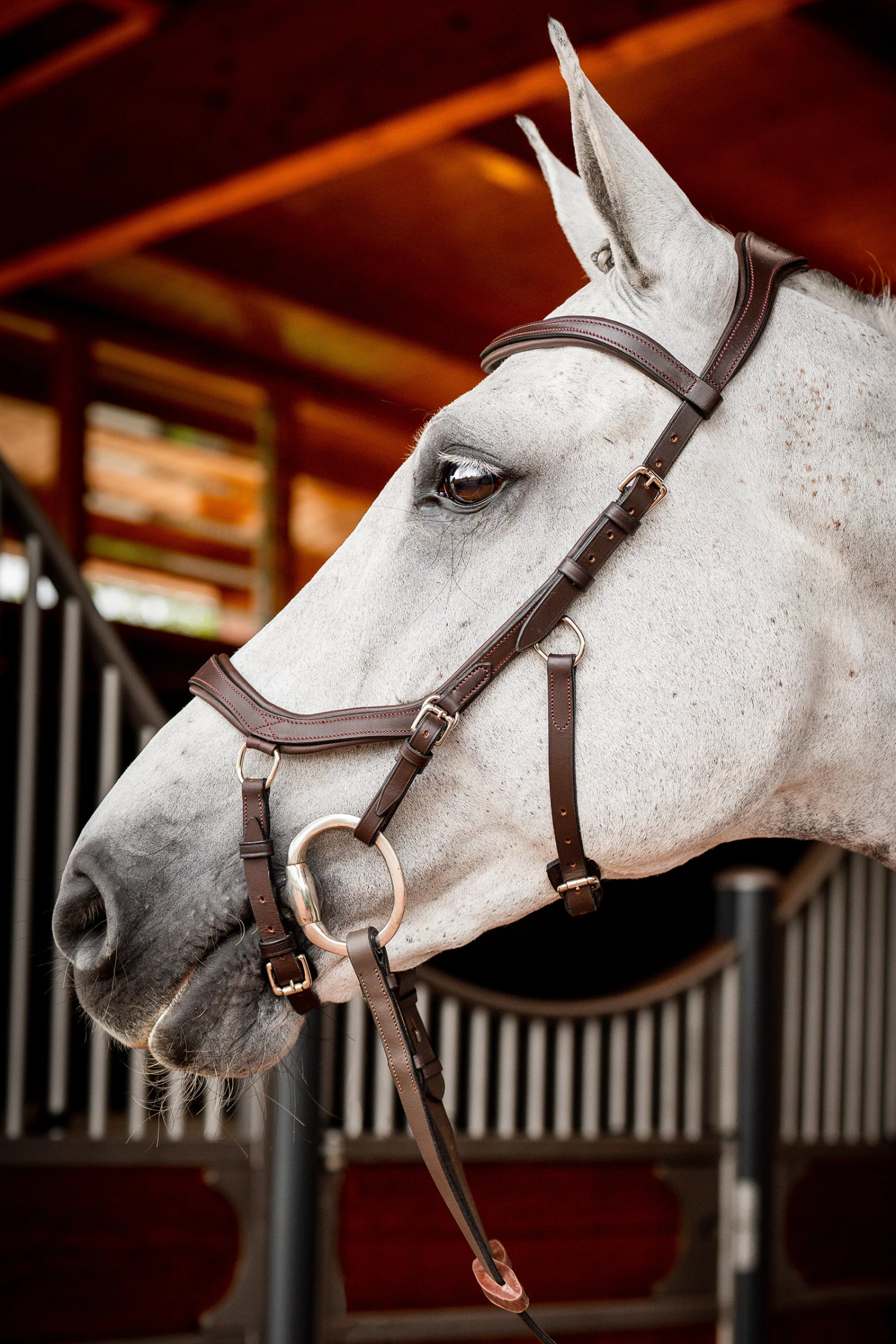 Horseware Rambo Micklem 2 Competition Bridle - Image 4