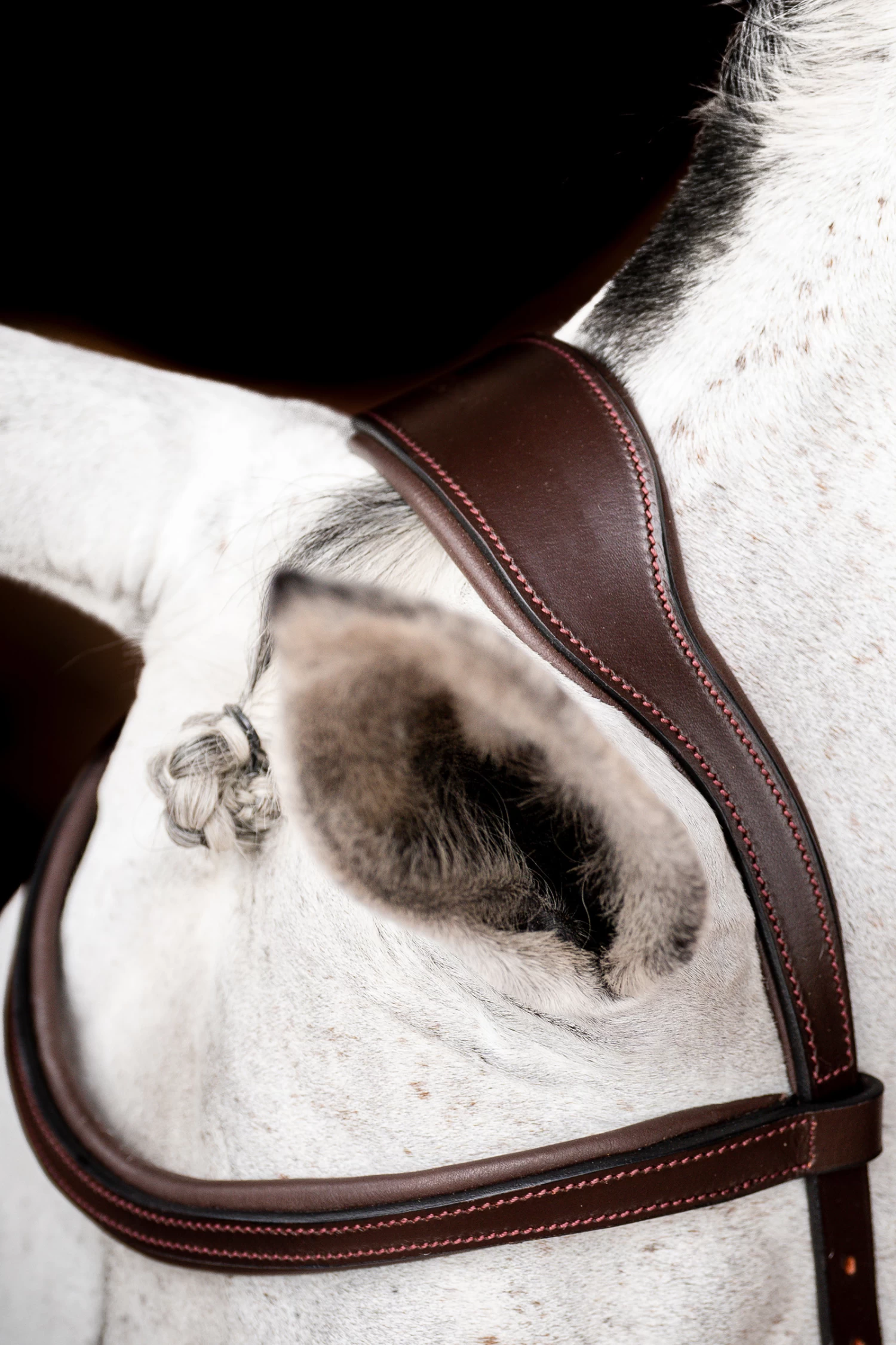 Horseware Rambo Micklem 2 Competition Bridle - Image 6