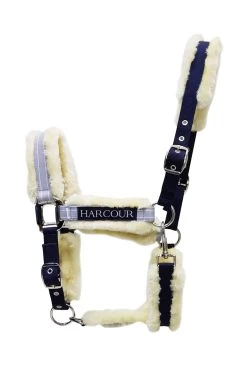 Harcour Hizia Halter