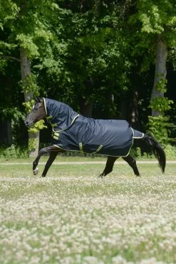 Bucas Oasis Turnout Rug With Detachable Neck, 100g