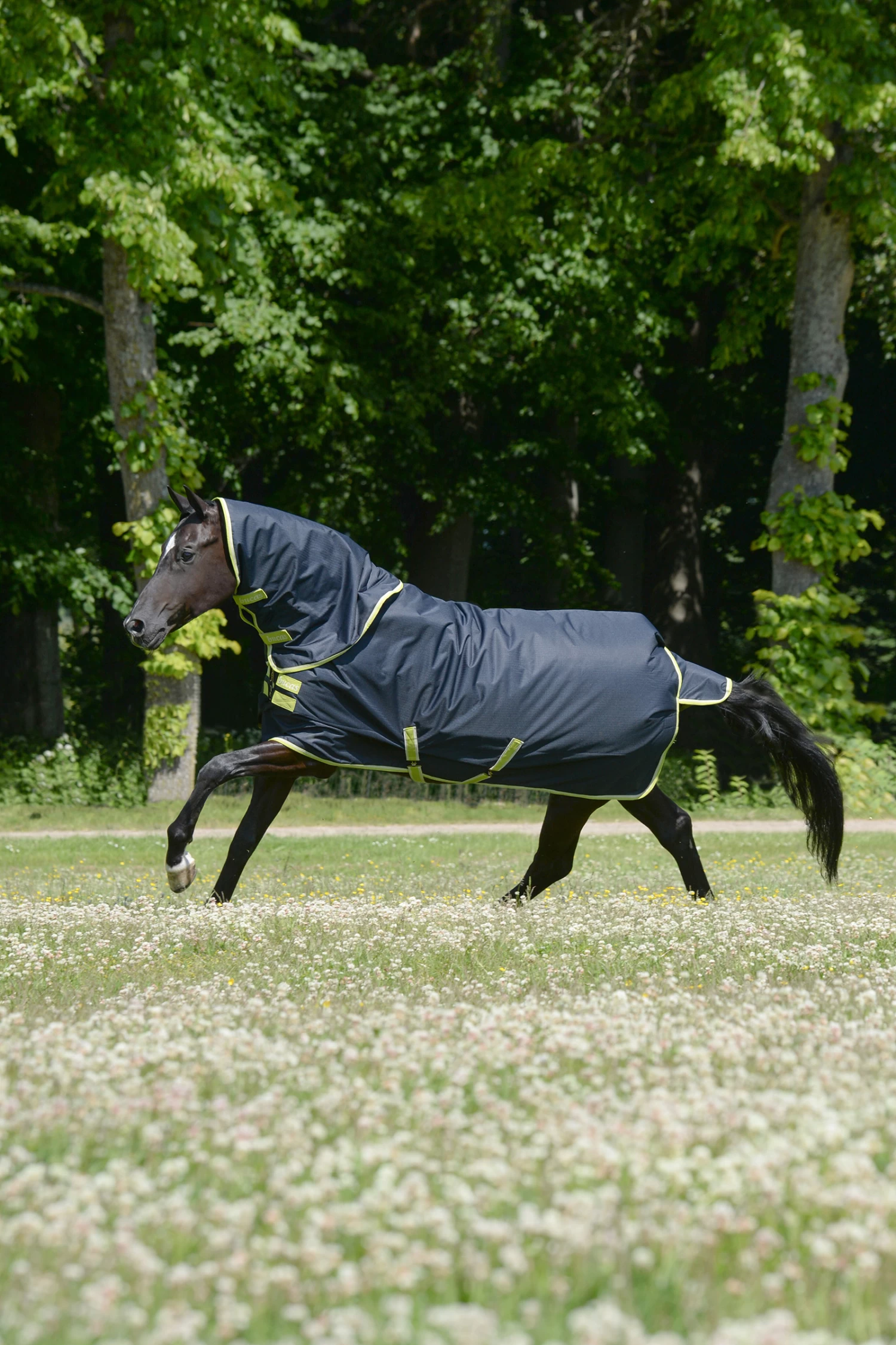 Bucas Oasis Turnout Rug With Detachable Neck, 100g