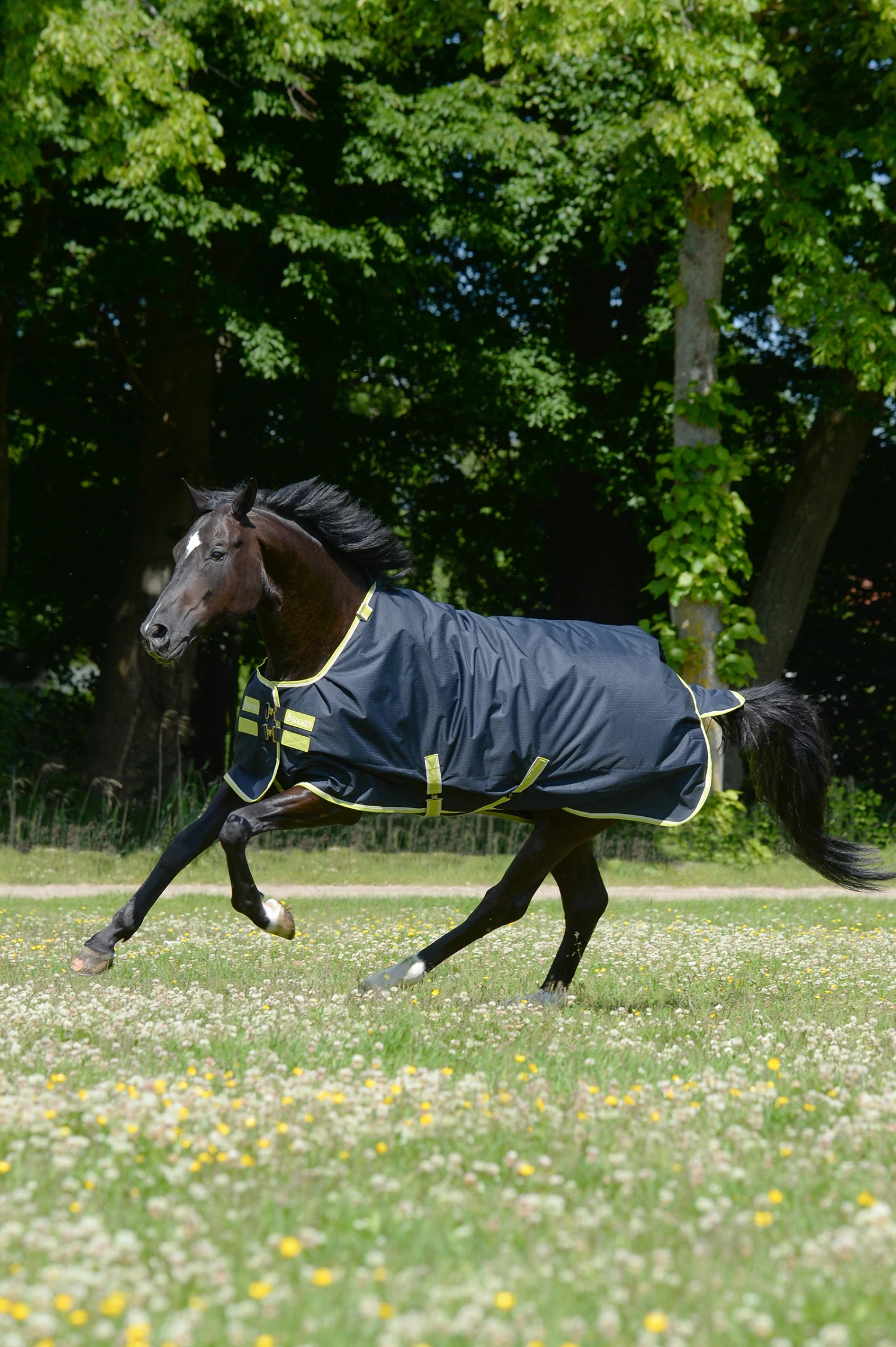 Bucas Oasis Turnout Rug With Detachable Neck, 100g - Image 2