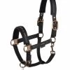 Eskadron Platinum 23 Double Pin Faux Leather Headcollar