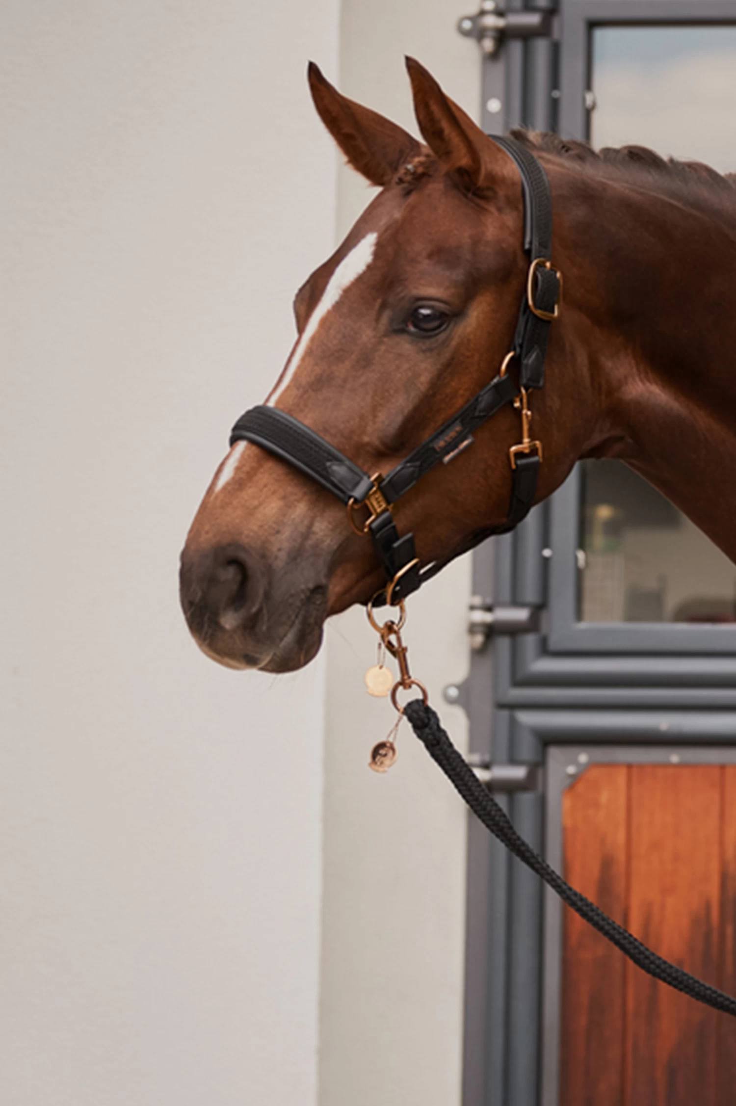 Eskadron Platinum 23 Double Pin Plait Headcollar - Image 2