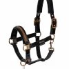 Eskadron Platinum 23 Double Pin Velvet Jewel Headcollar