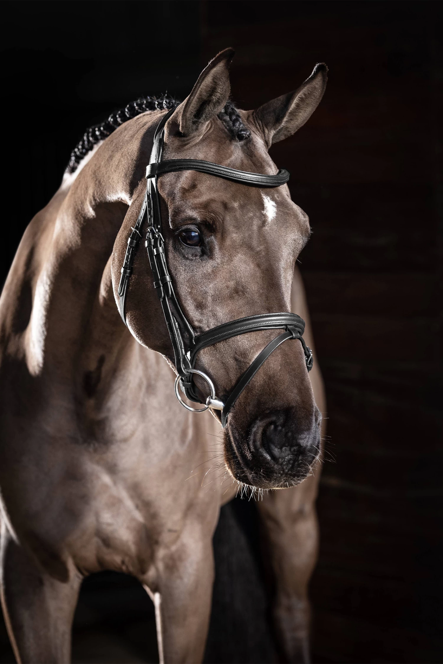 LeMieux Arika Flash Bridle - Image 8