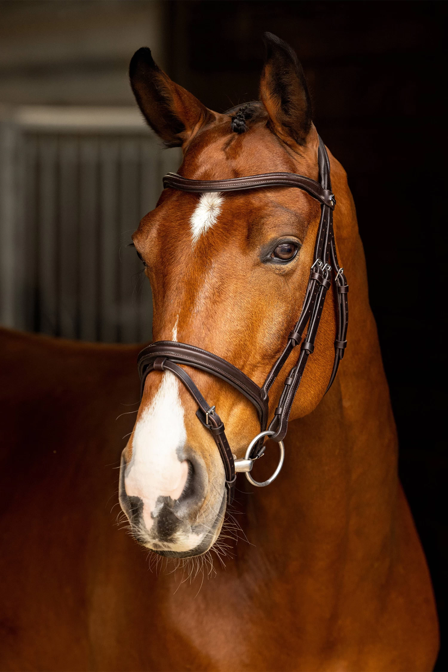 LeMieux Arika Flash Bridle - Image 4