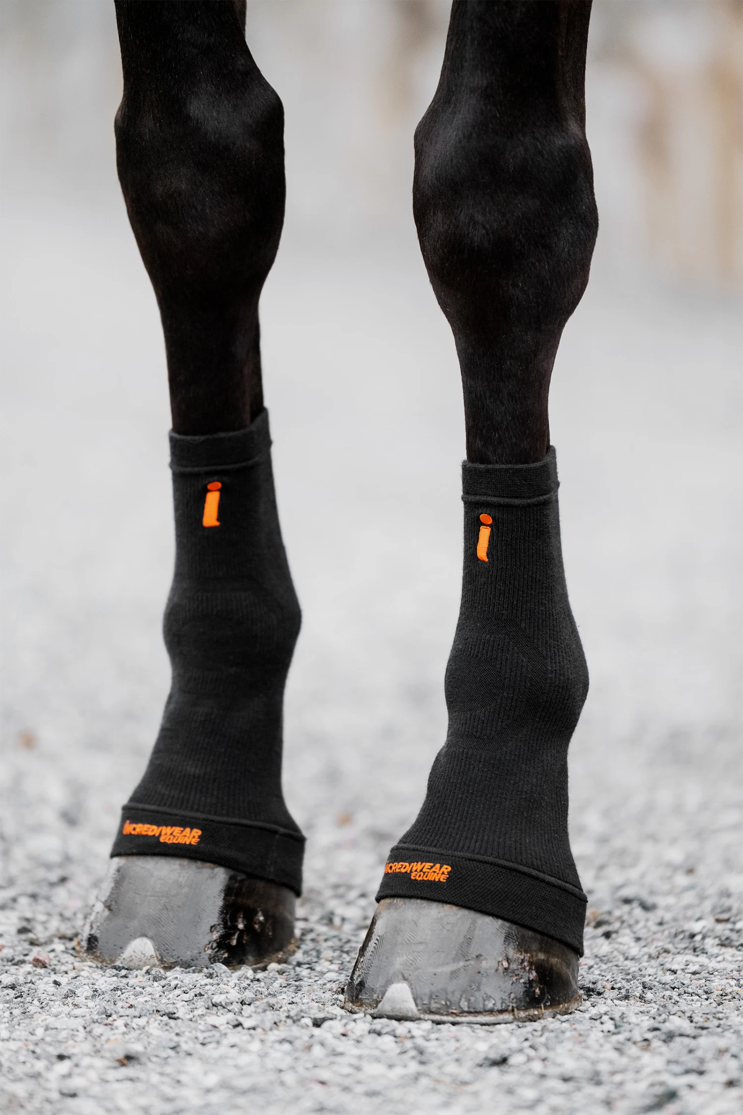 Incrediwear Equine Hoof Socks - Image 7