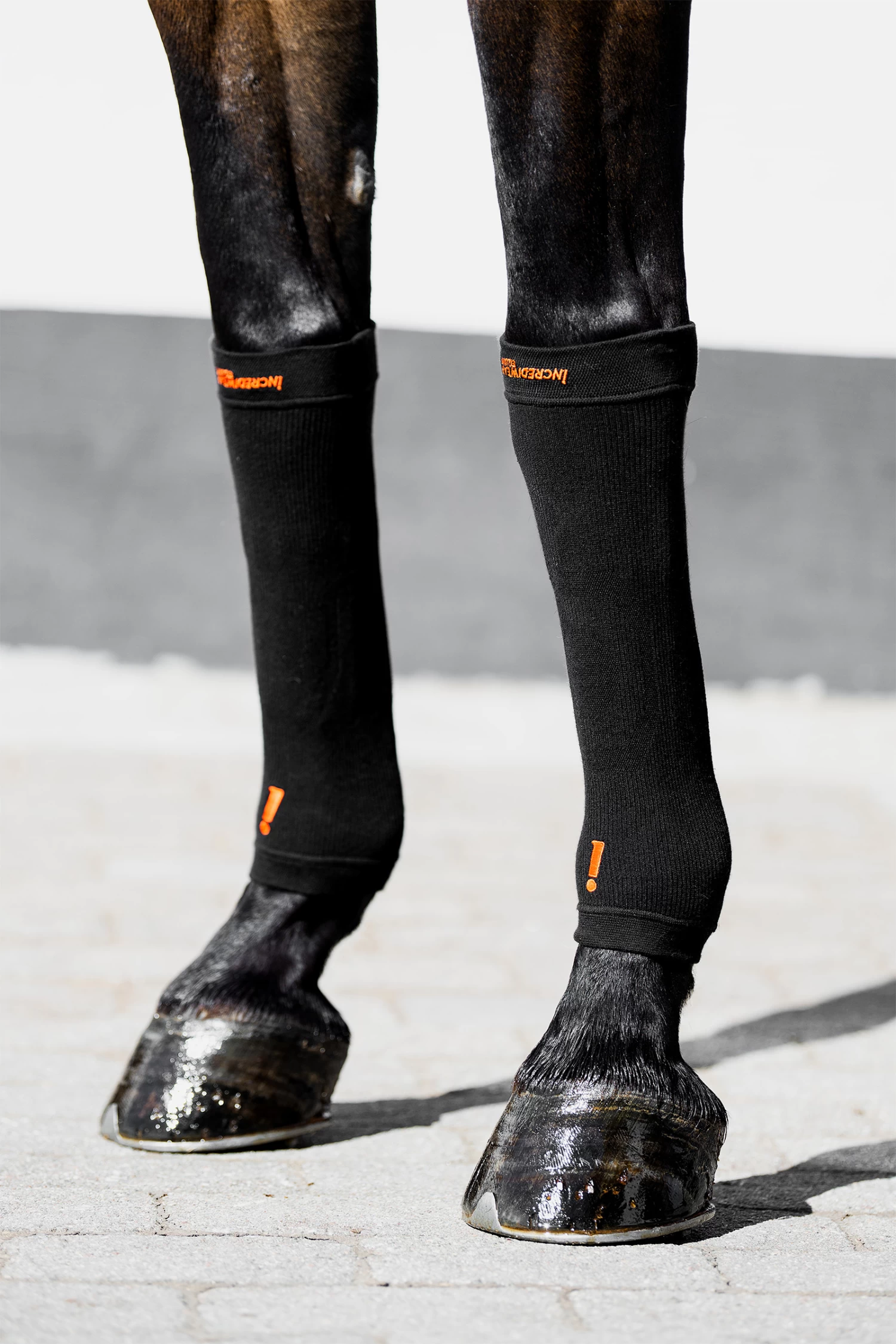Incrediwear Equine Hoof Socks - Image 8