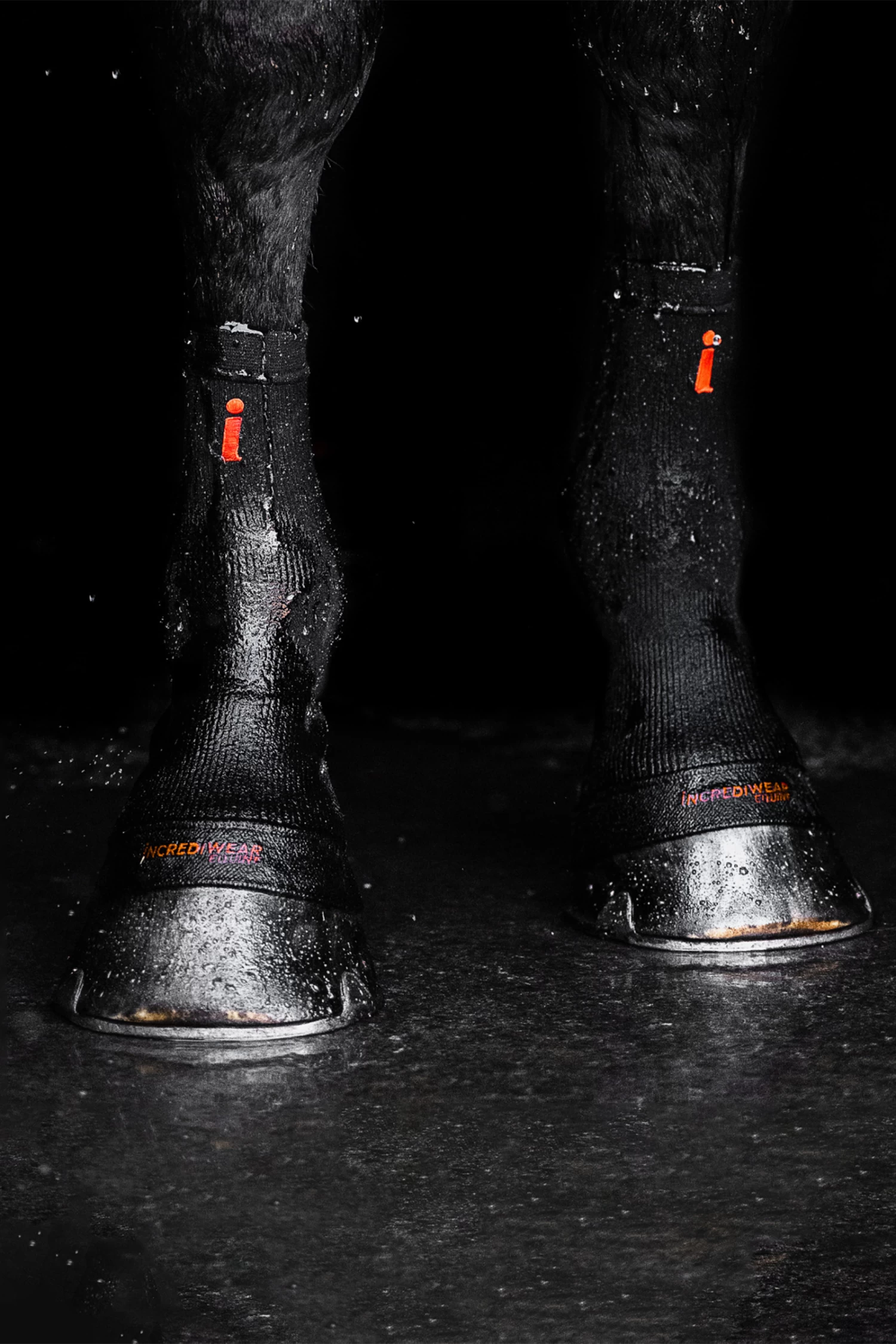 Incrediwear Equine Hoof Socks - Image 11