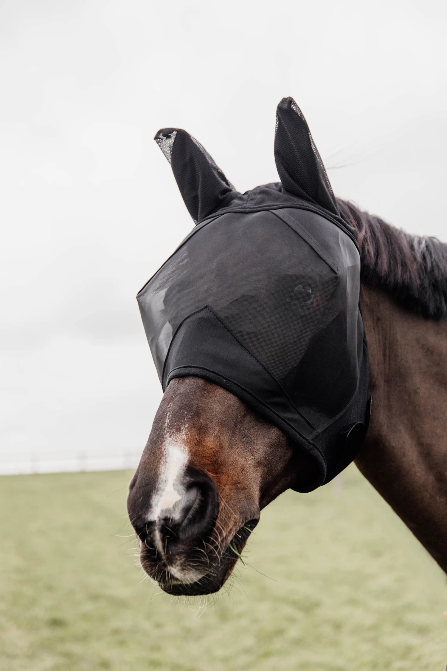 Kentucky Horsewear Classic Fly Mask With Ears - Image 3