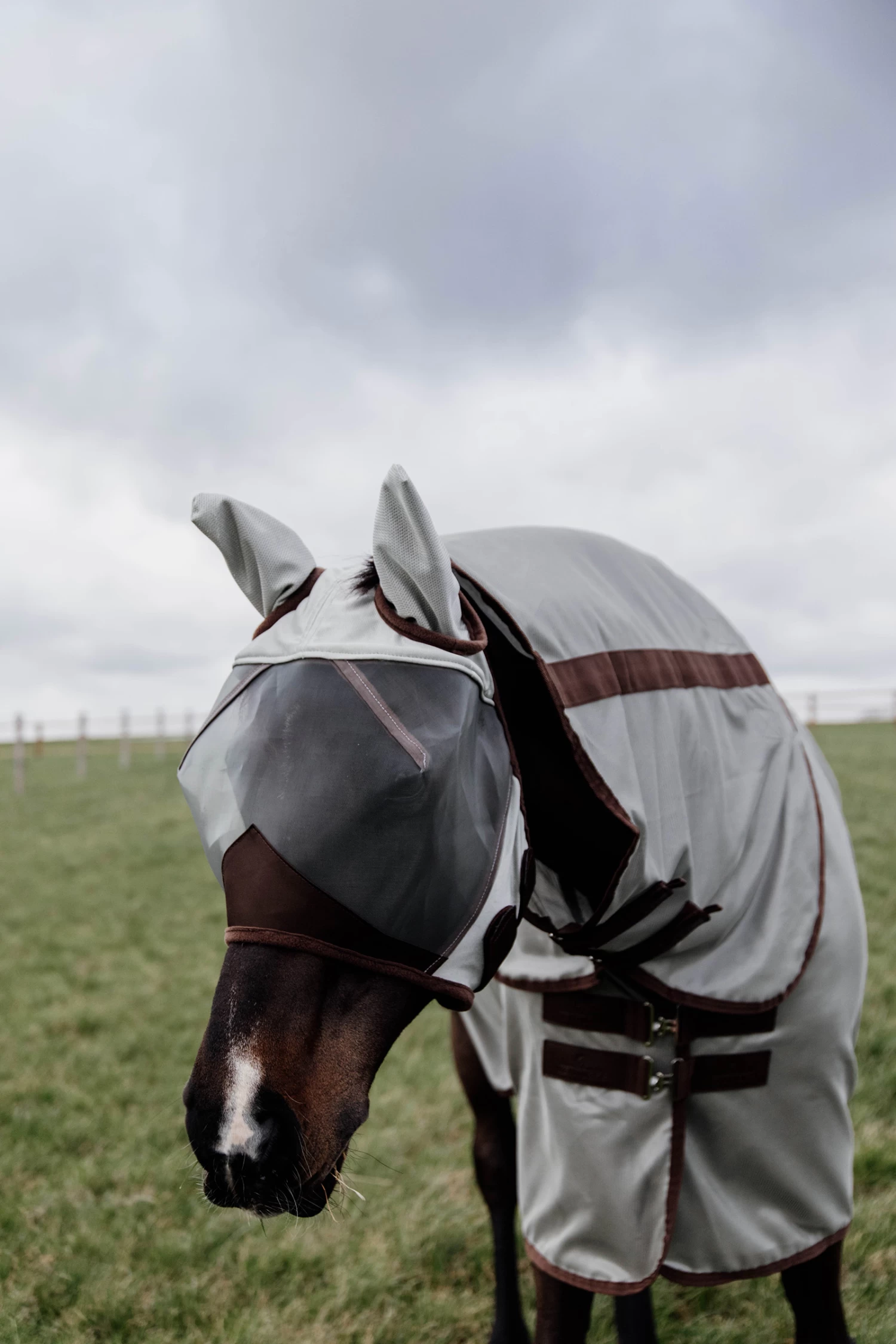 Kentucky Horsewear Classic Fly Mask With Ears - Image 12