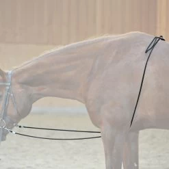 Kavalkade HO Lungeing Aid