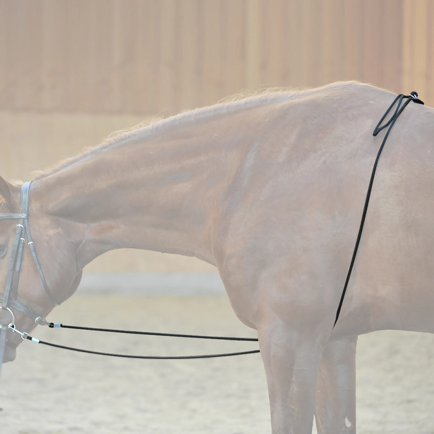 Kavalkade HO Lungeing Aid