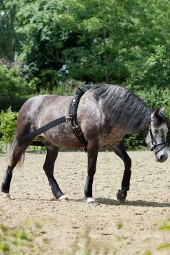 USG CoraLe Training System