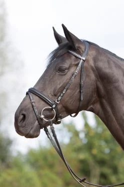 Kieffer Ultrasoft® Bridle