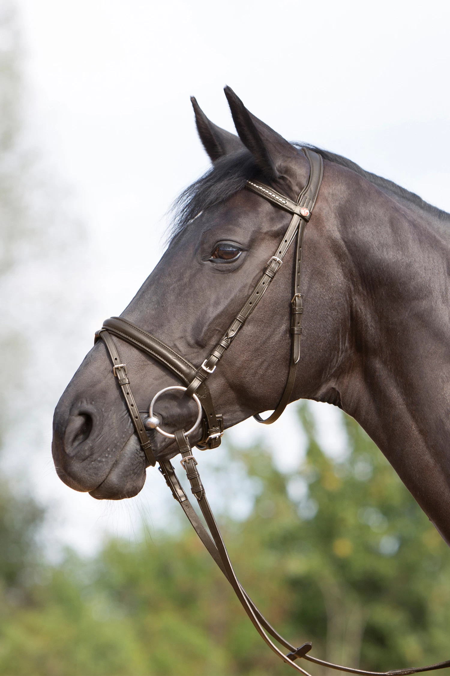 Kieffer Ultrasoft® Bridle - Image 4