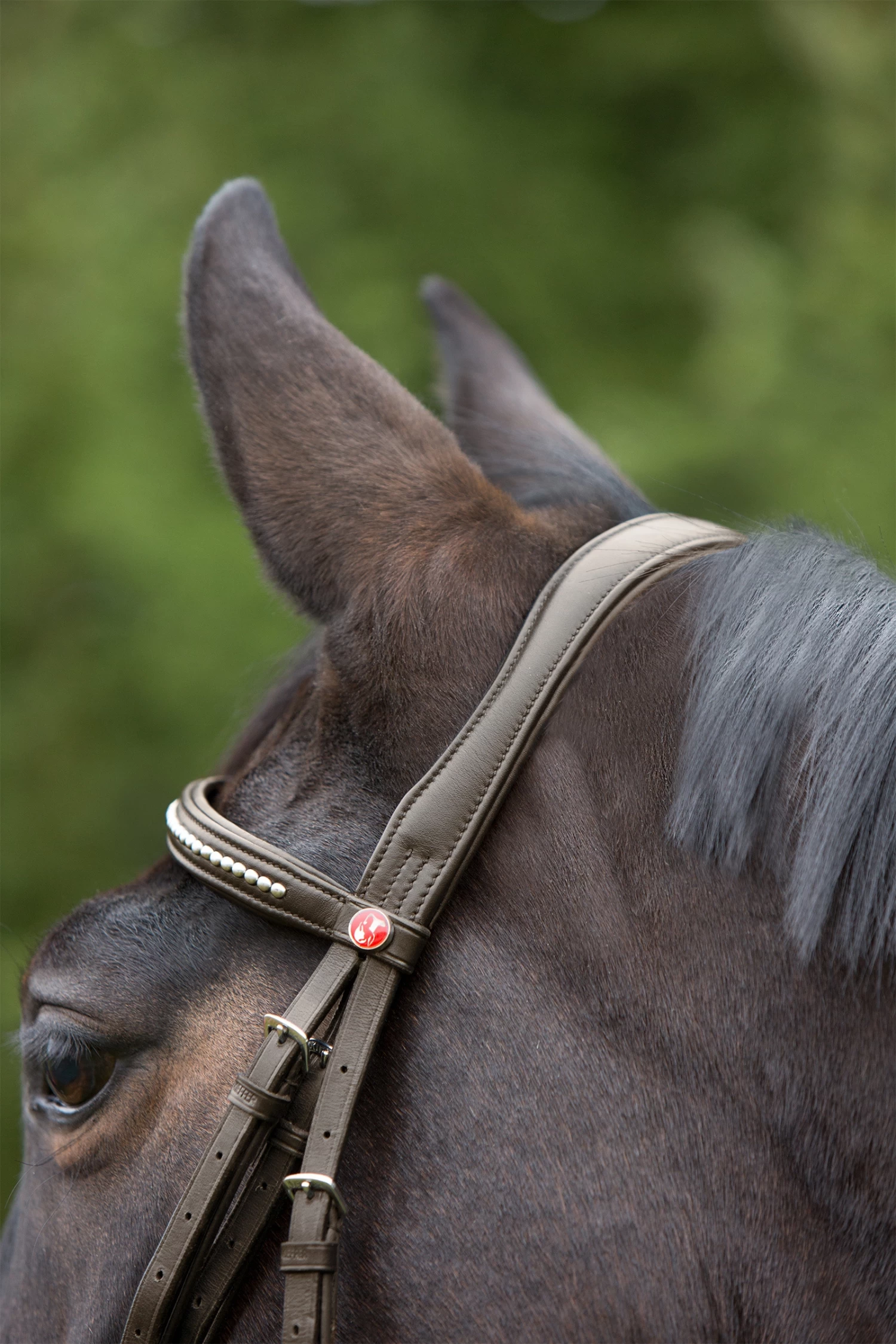Kieffer Ultrasoft® Bridle - Image 6