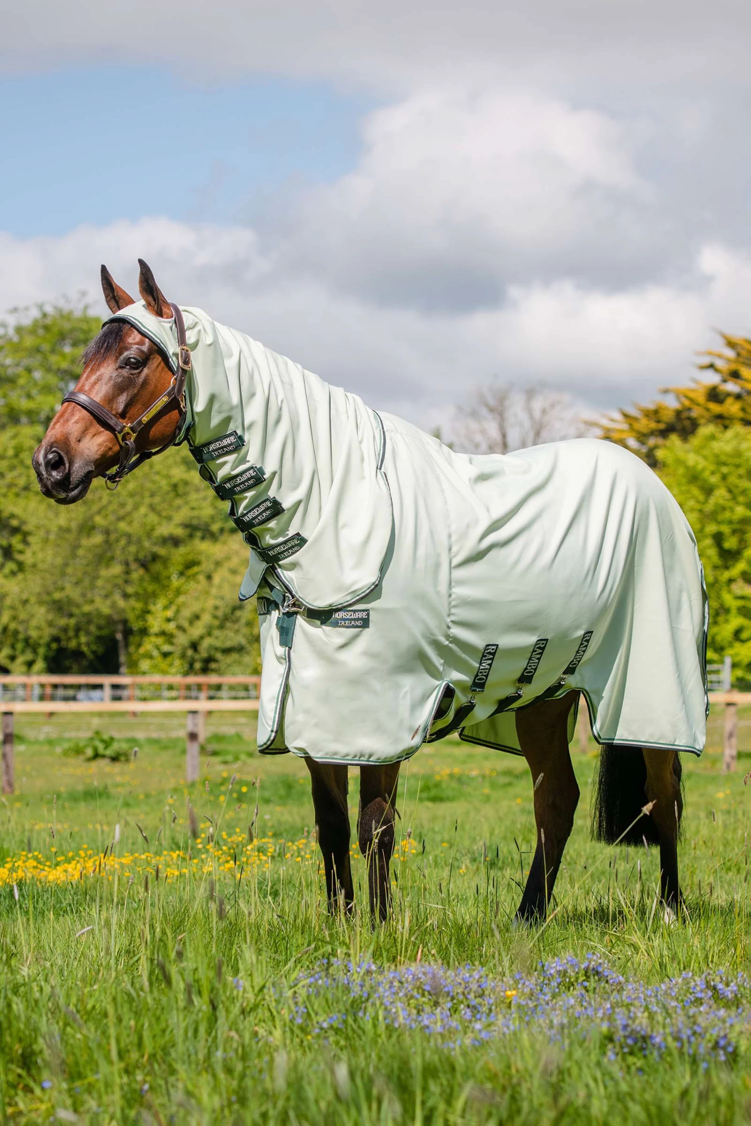 Horseware Rambo Hoody