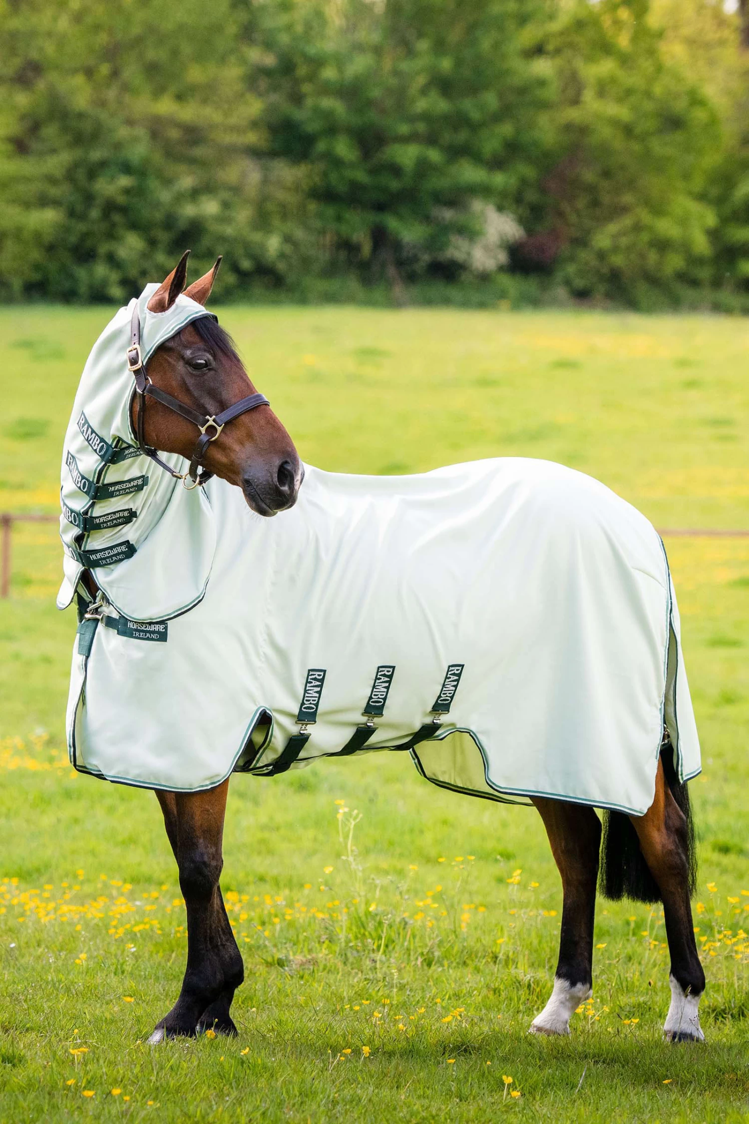 Horseware Rambo Hoody - Image 2
