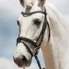 Kieffer Ultrasoft® Fashion Bridle