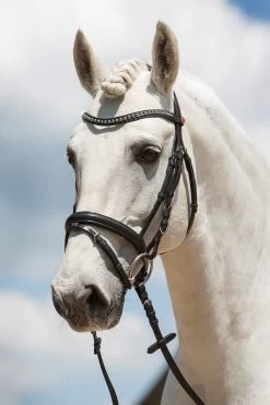Kieffer Ultrasoft® Fashion Bridle