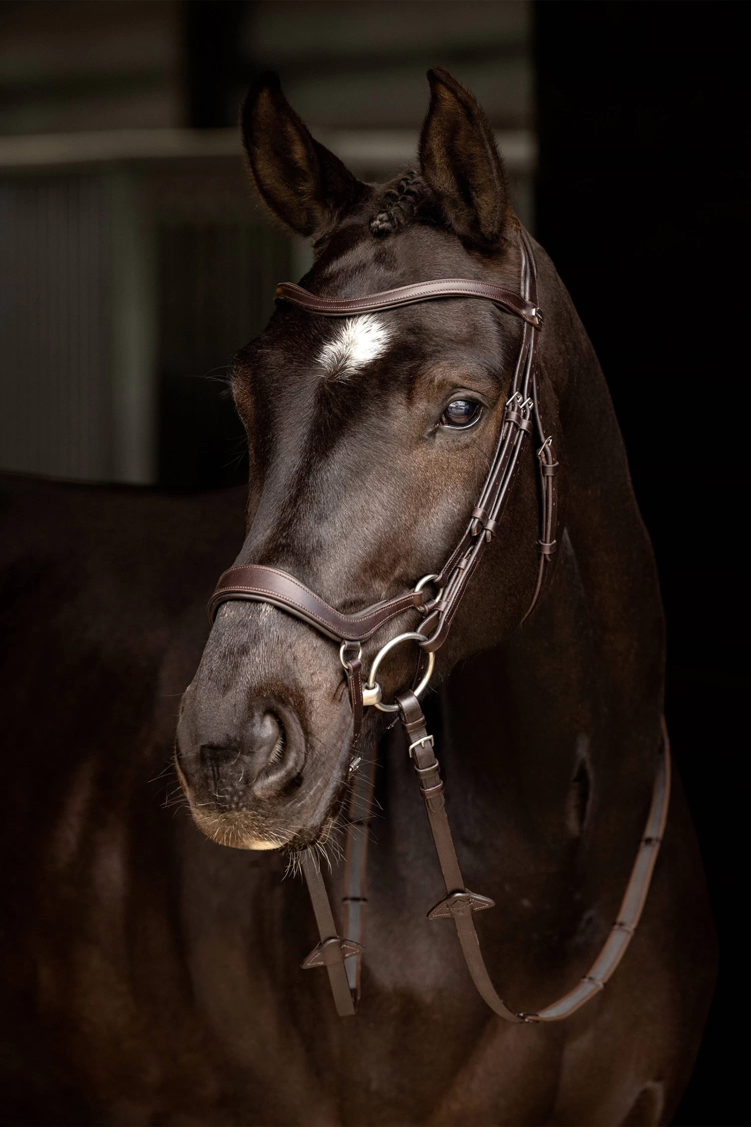 LeMieux Arika Drop Bridle - Image 4