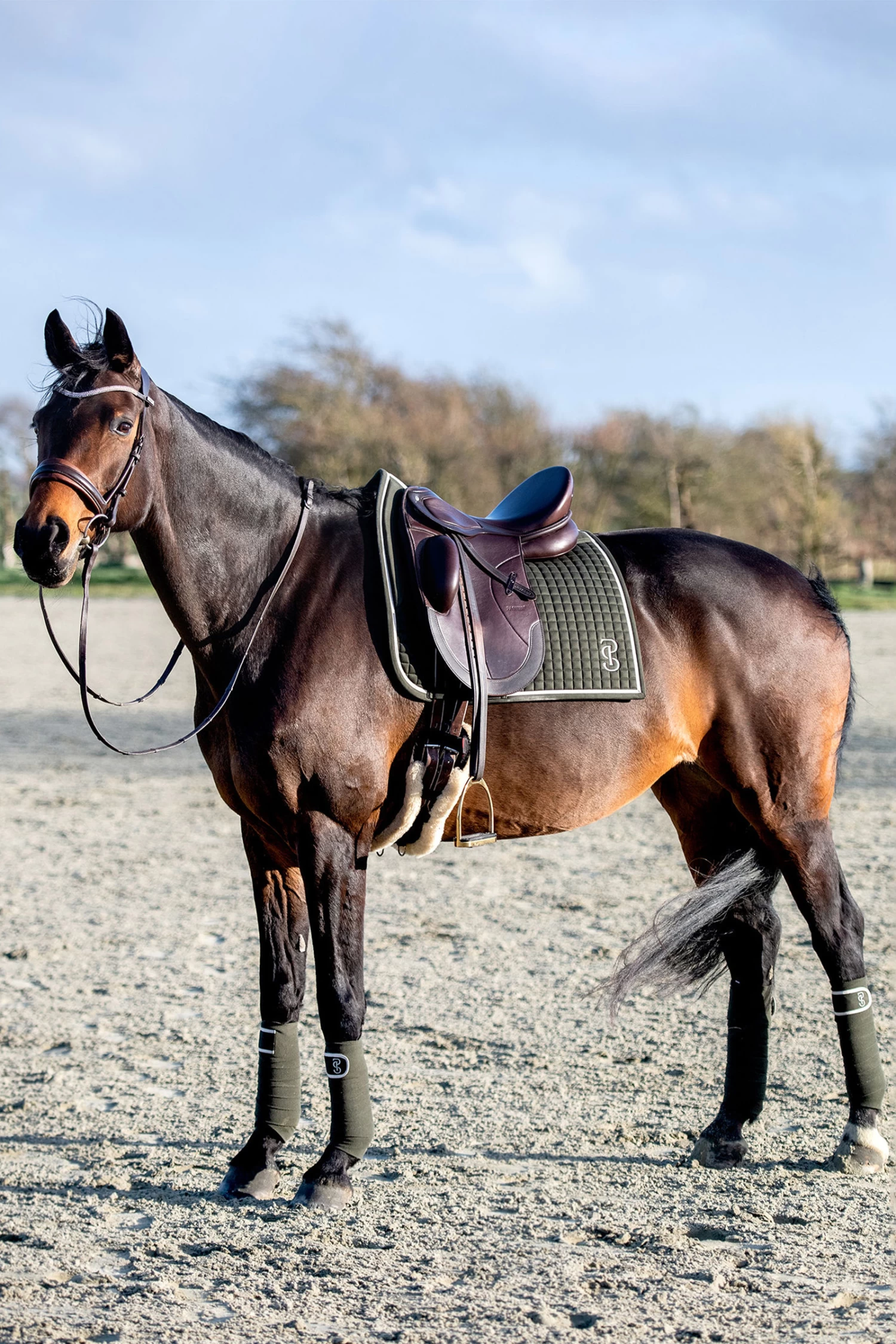 PS Of Sweden Saddle Pad Dressage Elite - Image 10