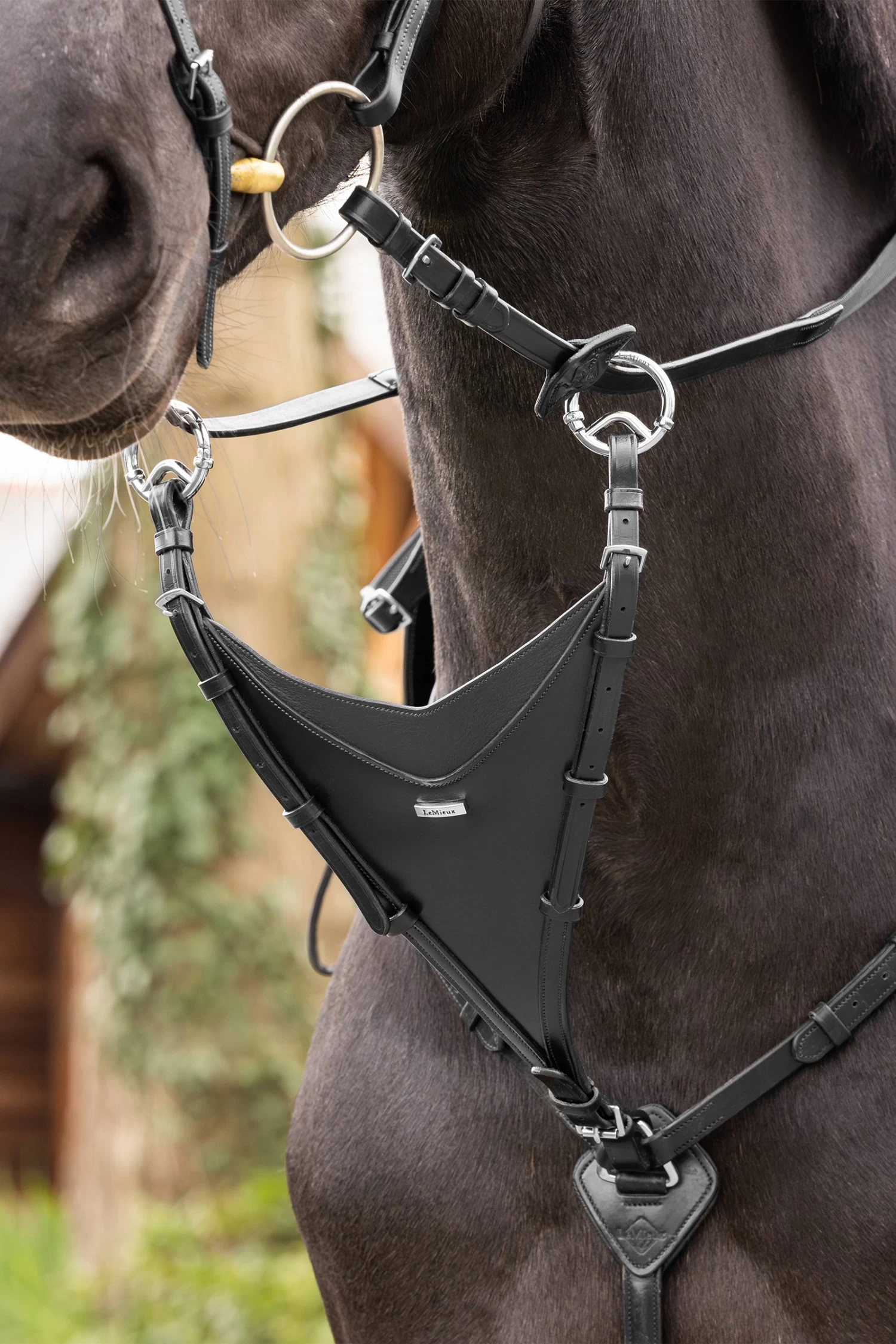 LeMieux Bib Martingale Attachment - Image 10