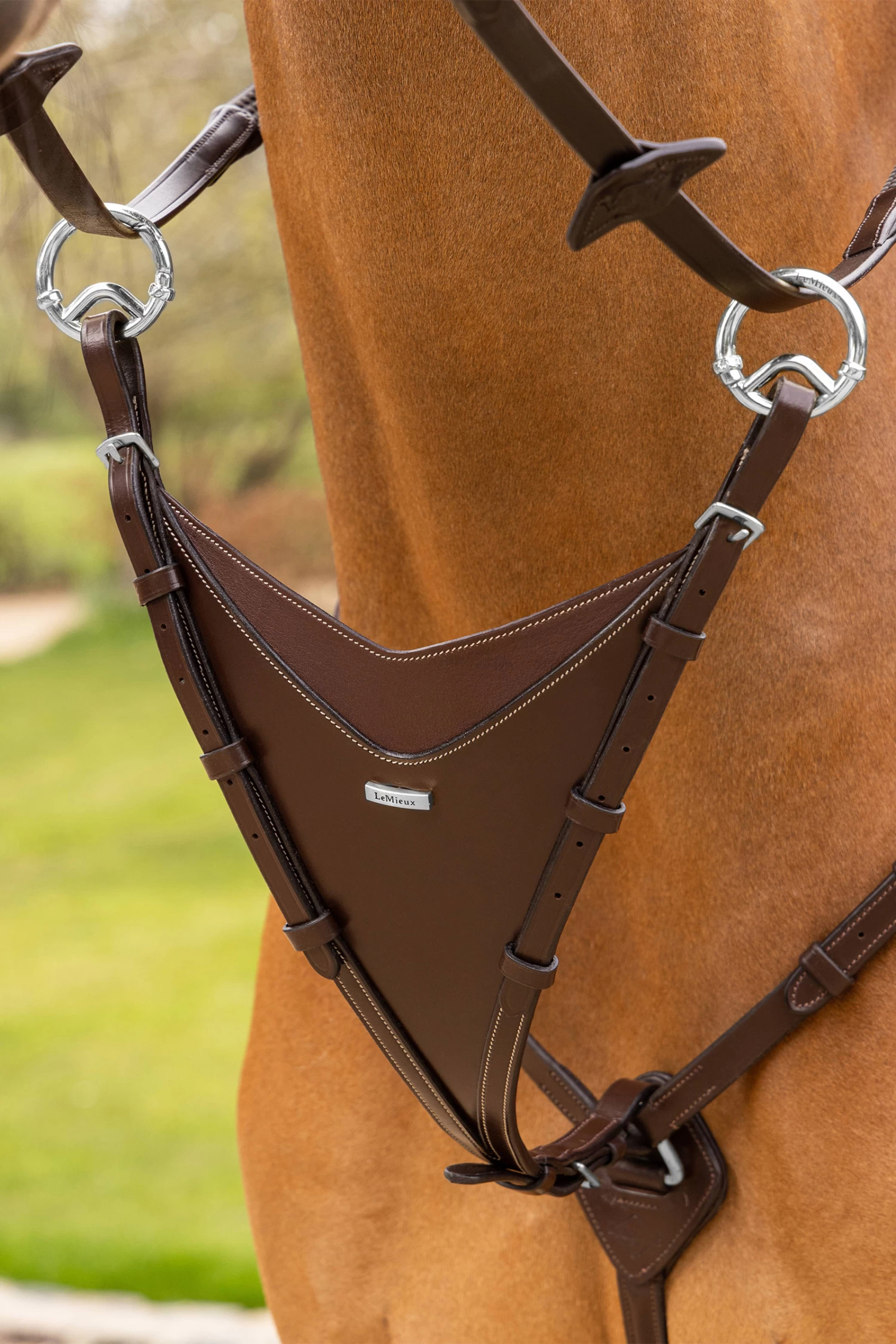 LeMieux Bib Martingale Attachment - Image 2