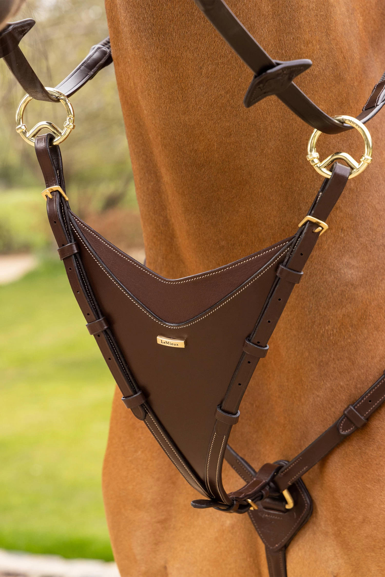 LeMieux Bib Martingale Attachment - Image 4